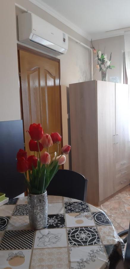 Flora Apartman Дьюла Екстер'єр фото